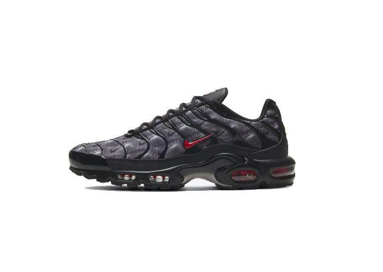 Nike Air Max Plus Topography Pack